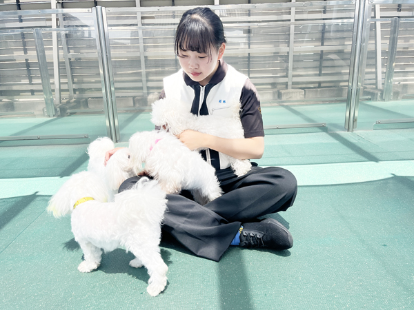 Ｗａｎ活のお散歩！
